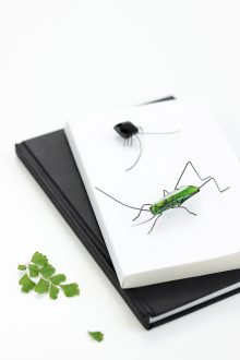 Epoxidharz - Kristalle aus Gießharz selber herstellen - DIY Anleitung für Insekten auf Leinwand