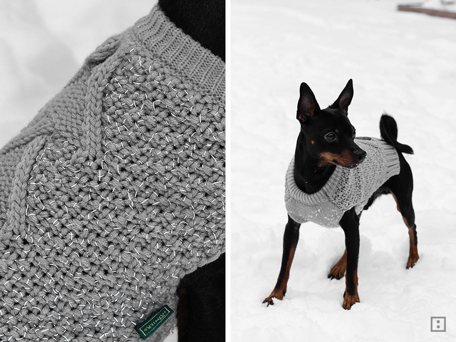 Hundepullover Reflektorgarn DIY für den Hund - Winter Rehpinscher Zwergpinscher im Schnee Parker